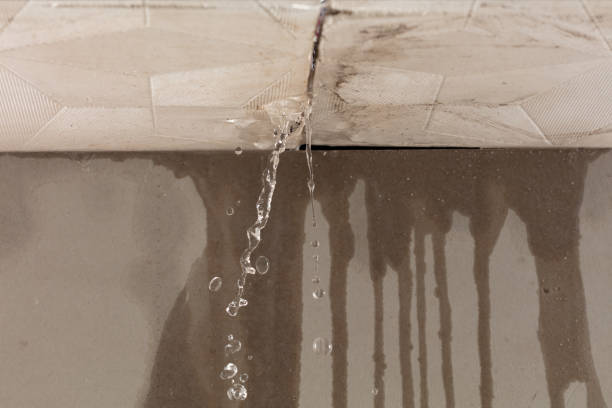 Professional Water Damage Repair technician working in Burbank, IL